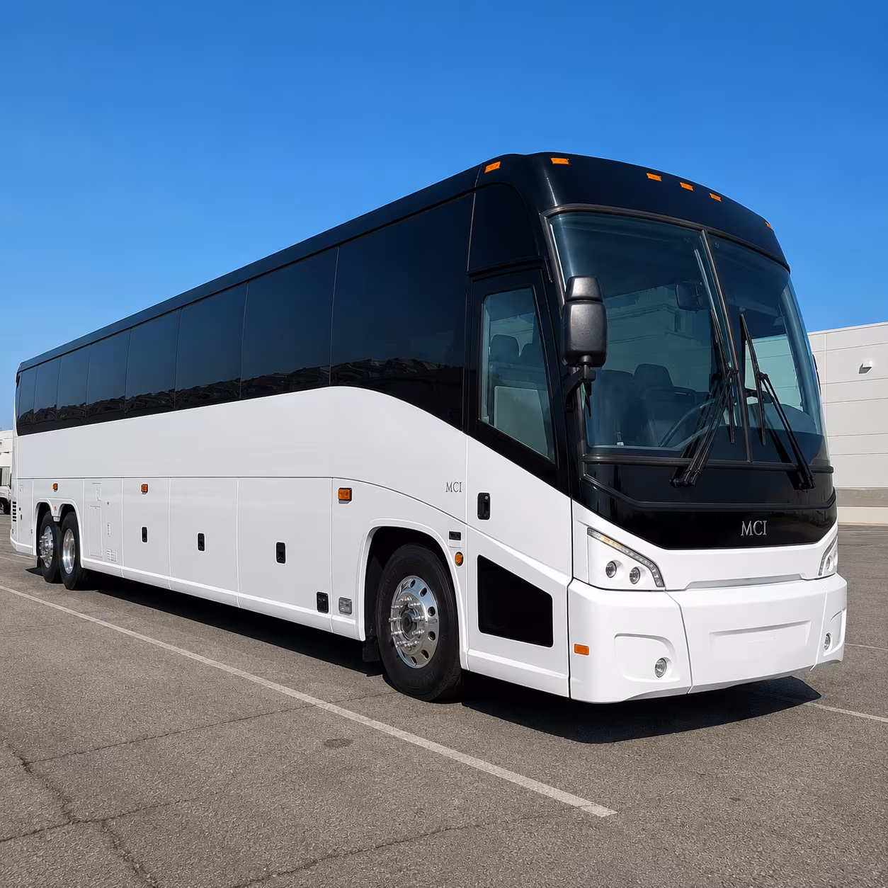 busrentallongview com can help you get to the east texas state fair gregg county fair and regional festivals