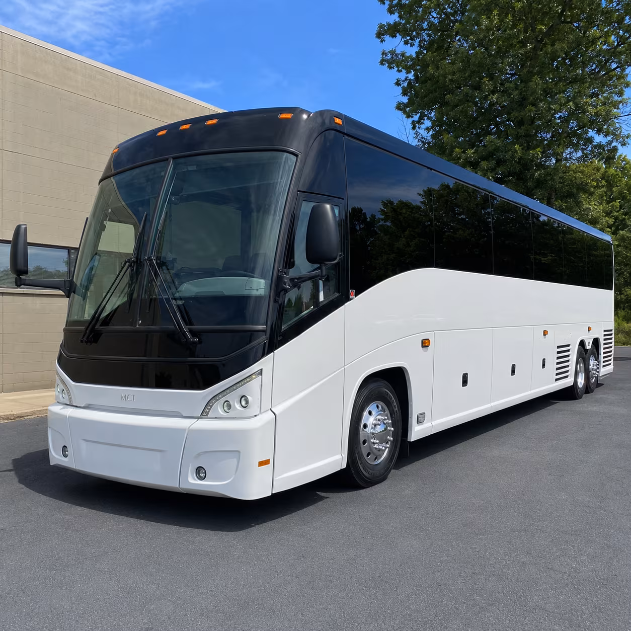 senior and elderly member transportation across gregg county